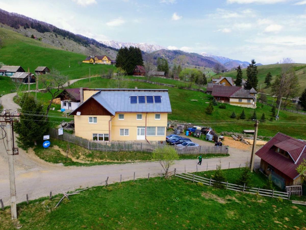 Şirnea Casa Marioara 빌라 외부 사진