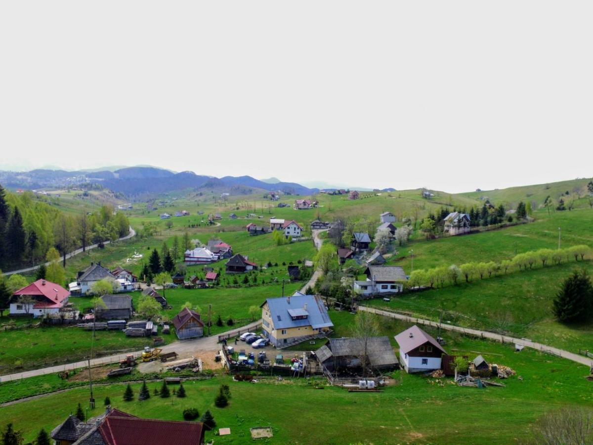 Şirnea Casa Marioara 빌라 외부 사진