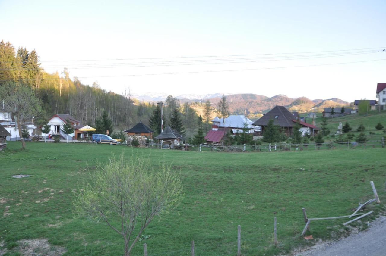 Şirnea Casa Marioara 빌라 외부 사진